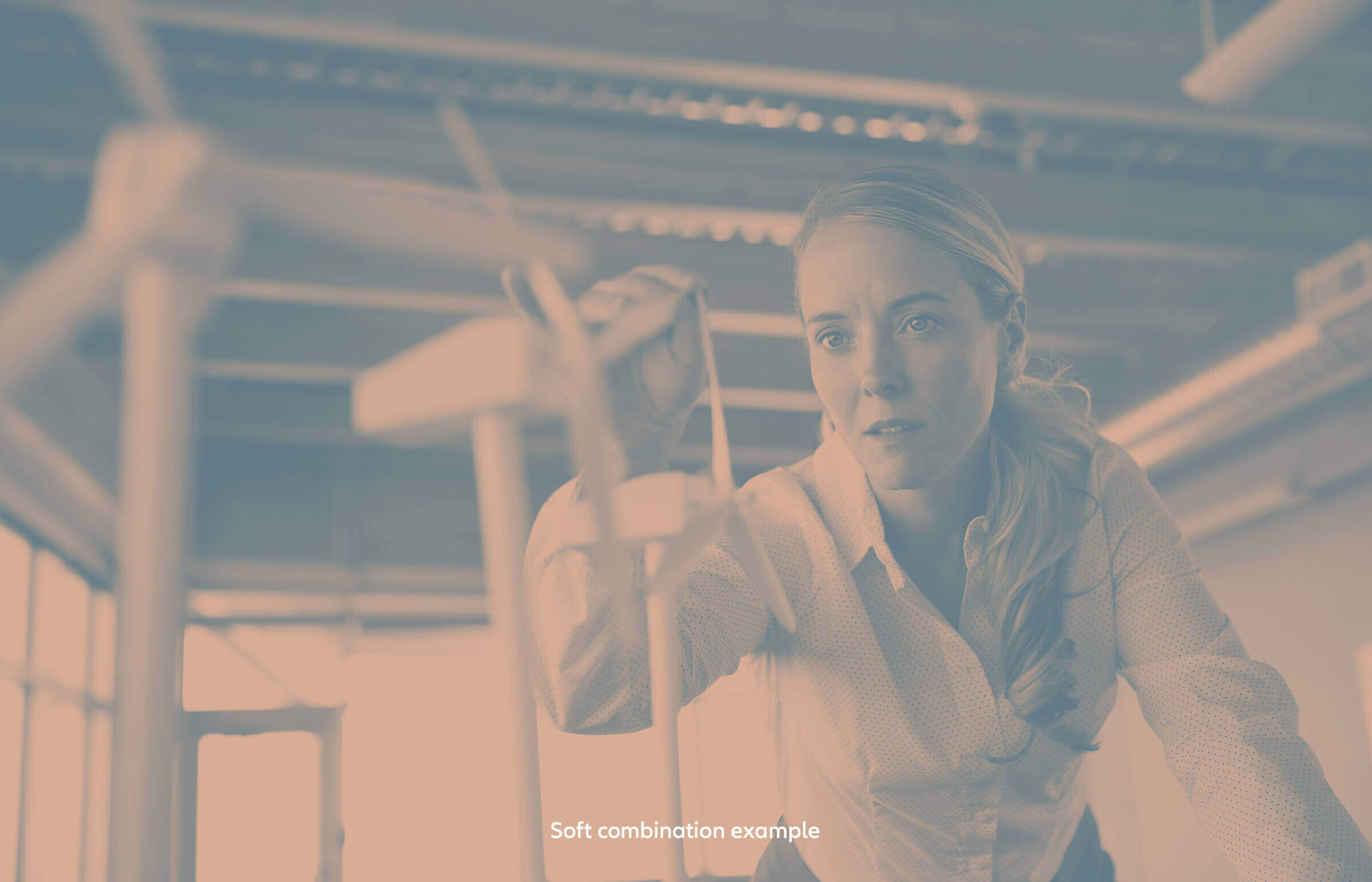 Asterisco Euler Hermes